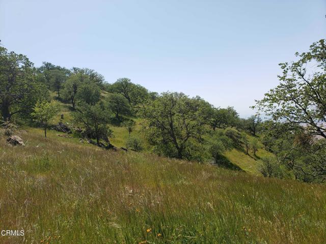 0 Roan, Tehachapi, CA, 93561 0 Roan, Tehachapi, CA, 93561