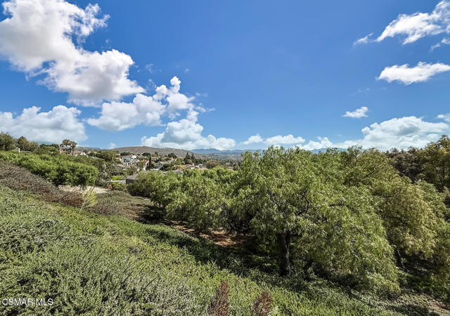 3331 Monte Carlo Drive, Thousand Oaks CA: https://media.crmls.org/mediaz/b4e95c31-4de7-41d6-b3a2-c2b84337aa8a.jpg