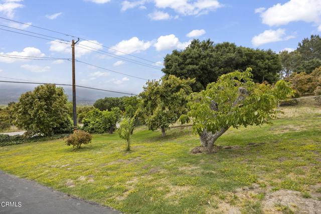 Detail Gallery Image 17 of 61 For 19966 S Mountain Rd, Santa Paula,  CA 93060 - 2 Beds | 3 Baths