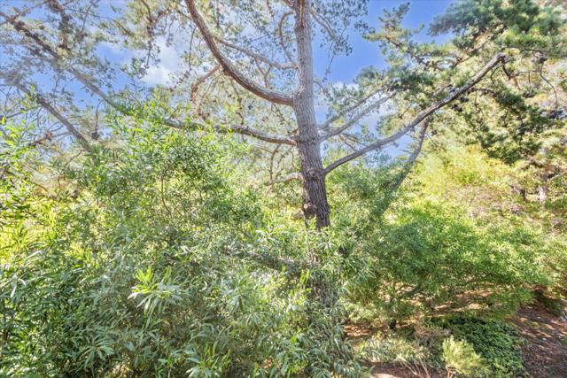 3334 Brittan Avenue, San Carlos CA: https://media.crmls.org/mediaz/b4eb90bb-4267-437d-b0b3-2ca65f645e40.jpg