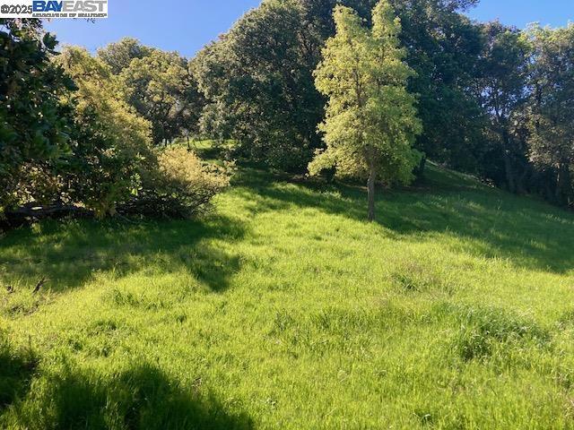0 Wanda Way, Martinez CA: https://media.crmls.org/mediaz/b506ef3d-2fa0-4afd-9518-114f2348e4e0.jpg