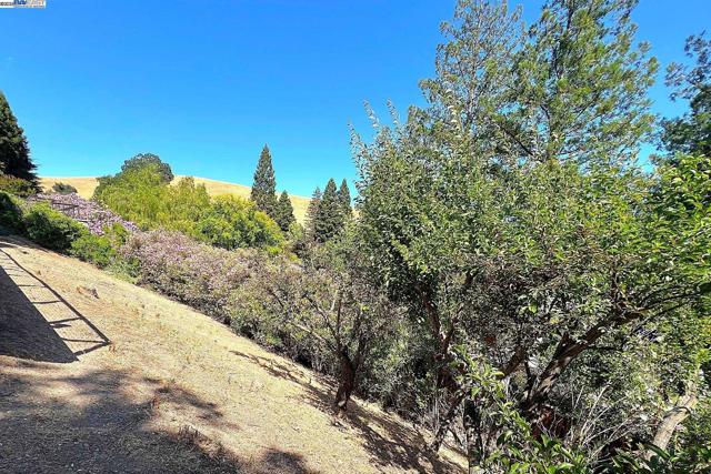 211 Arthur Ct, Danville CA: https://media.crmls.org/mediaz/b50fb55c-37df-44d0-ae67-23e1dc752542.jpg