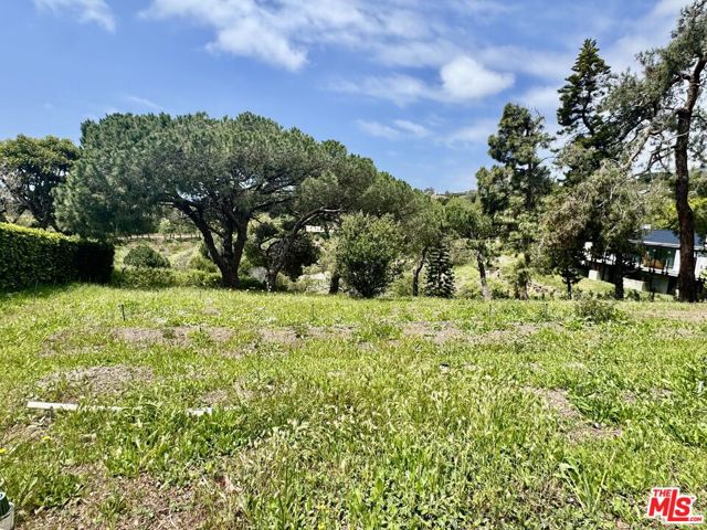 Drew Fenton | 27555 Pacific Coast Highway Malibu CA | MLS: 7292558