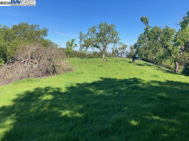 0 Wanda Way, Martinez CA: https://media.crmls.org/mediaz/b51c5ef0-2cfc-4aa3-a678-0b001511a638.jpg