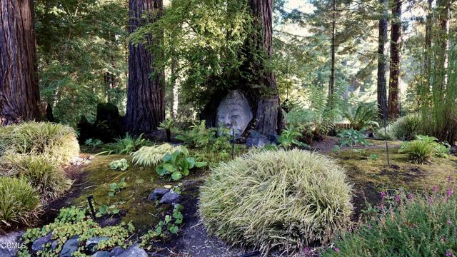 Detail Gallery Image 35 of 42 For 17560 Redwood Springs Dr, Fort Bragg,  CA 95437 - 3 Beds | 2 Baths