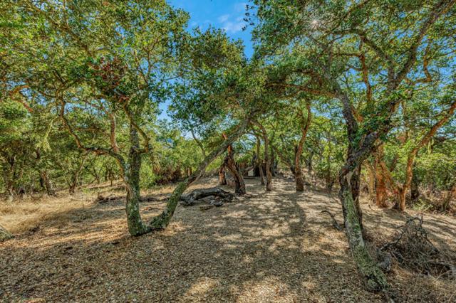 0 Ranch, Carmel Valley Road, Carmel CA: https://media.crmls.org/mediaz/b53497b8-56fe-4425-9161-3155c47c6405.jpg