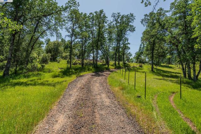 21679 Squaw Grass Trail, Redding CA: https://media.crmls.org/mediaz/b5354fd0-1623-416e-8b7c-c0b983586e12.jpg