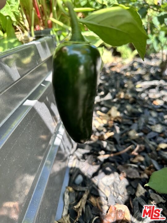 1625 18th Street, Manhattan Beach, California 90266, 4 Bedrooms Bedrooms, ,5 BathroomsBathrooms,Residential,For Sale,18th,26655945