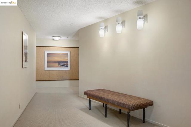 5405 Carlton St, Oakland CA: https://media.crmls.org/mediaz/b5386266-0d2f-46bc-8d5b-d5065778d6f2.jpg