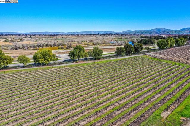 942 Finovino Ct, Pleasanton CA: https://media.crmls.org/mediaz/b53eebd3-96c3-4482-bcc5-2184c1c11cb9.jpg