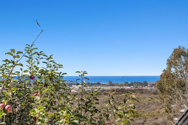Detail Gallery Image 38 of 54 For 1762 Burgundy Rd, Encinitas,  CA 92024 - 3 Beds | 2/1 Baths