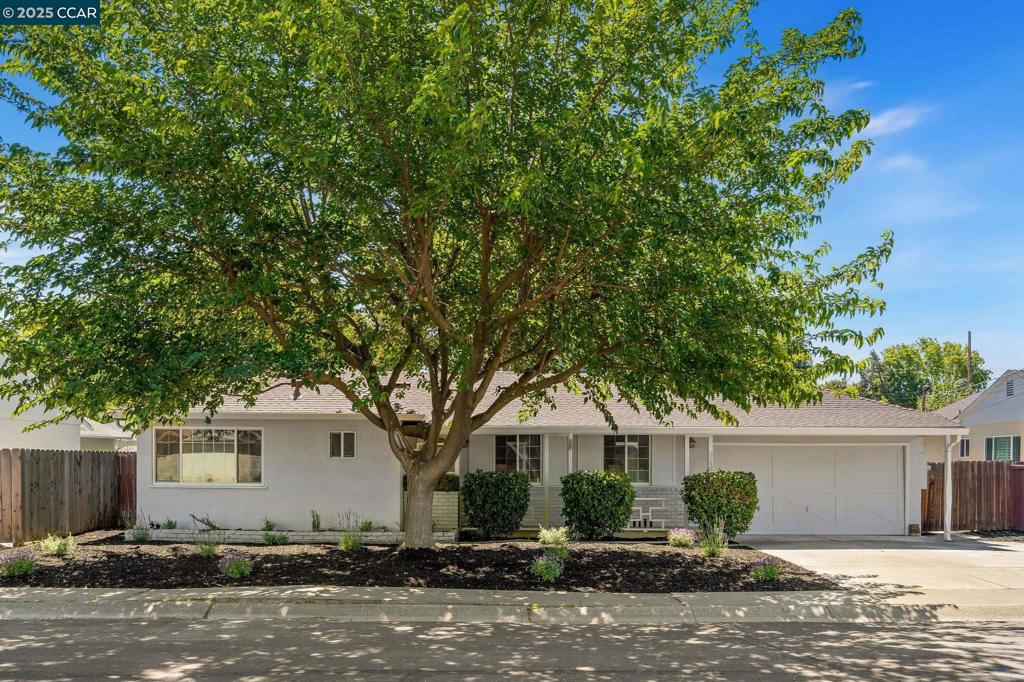 3248 Reva Dr