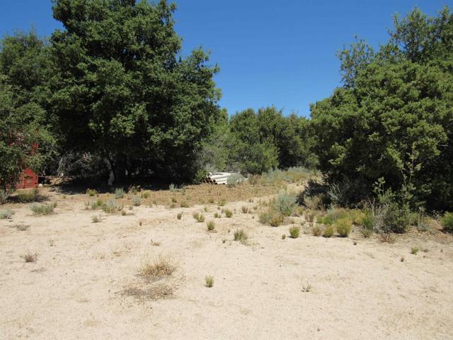 Detail Gallery Image 38 of 47 For 200 Acres Mccain Valley Rd, Boulevard,  CA 91905 - – Beds | – Baths