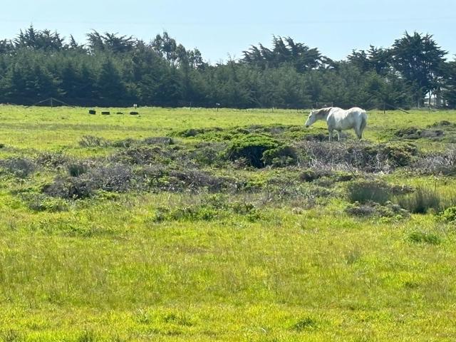 0 Portola Avenue, Half Moon Bay CA: https://media.crmls.org/mediaz/b54c3b80-a1bc-4aee-bad6-1df91ec77e40.jpg