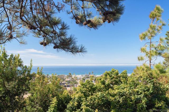 2165 Balboa Ave, Del Mar CA: https://media.crmls.org/mediaz/b54d678e-bfcb-41ce-860e-e1cf91f9e3d1.jpg