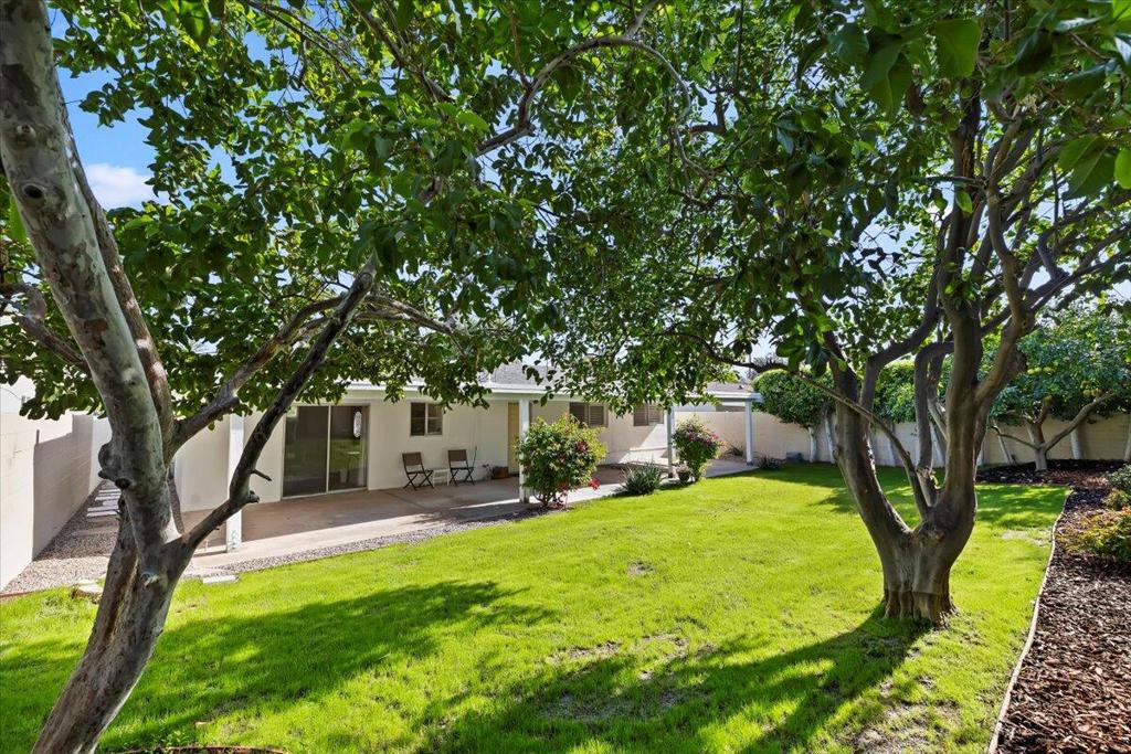 MLS #219139220DA image #39