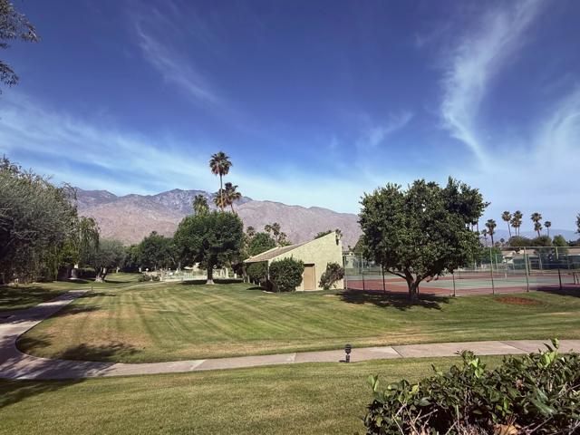 1665 S La Reina Way, Palm Springs CA: https://media.crmls.org/mediaz/b56115c0-2f2f-4038-9cbc-55c2aa97d199.jpg