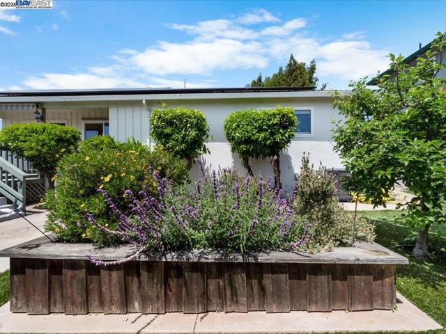 4311 Circle Ave, Castro Valley CA: https://media.crmls.org/mediaz/b5710925-5928-4216-a46a-6518554d1694.jpg