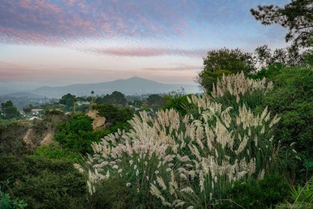 1243 Crest Drive, Encinitas, California 92024, 4 Bedrooms Bedrooms, ,3 BathroomsBathrooms,Single Family Residence,For Sale,Crest Drive,240021773SD