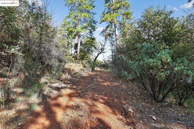 Image 8 of 10 For 4544 Sheep Ranch Rd
