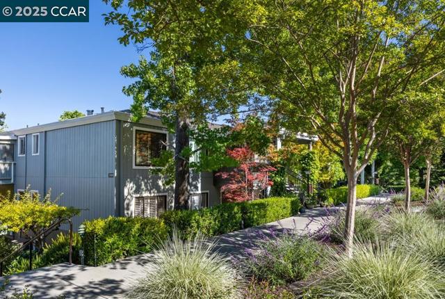 1349 Running Springs Rd, Walnut Creek CA: https://media.crmls.org/mediaz/b5896095-69d3-4f59-b0b3-39bb9df0aec2.jpg