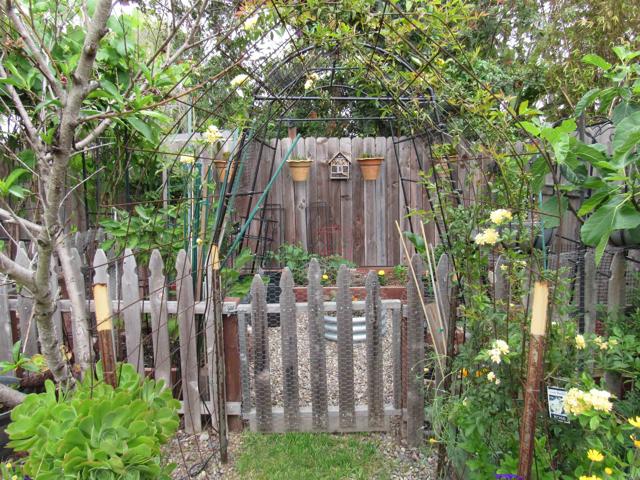 4533 Olive Avenue, La Mesa CA: https://media.crmls.org/mediaz/b5949261-fc45-467f-92f4-3f57f5b7da58.jpg