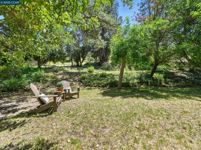 66 Ambleside Court, Danville CA: https://media.crmls.org/mediaz/b5a0e3cc-f376-4469-a56a-d550707e84e5.jpg