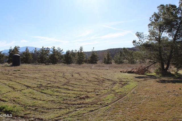 Detail Gallery Image 11 of 41 For 4190 Quatal Canyon Rd, Maricopa,  CA 93252 - – Beds | – Baths