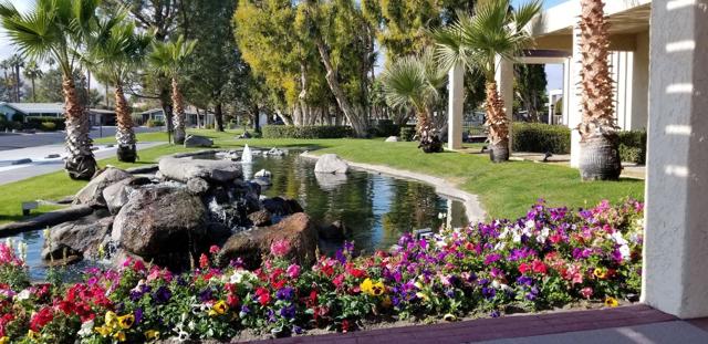 234 Settles Drive, Cathedral City CA: https://media.crmls.org/mediaz/b5aa674b-9e36-470a-a6f4-c60fddc497b2.jpg