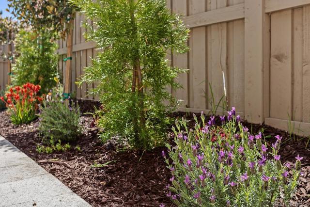 Home for Sale in Vista