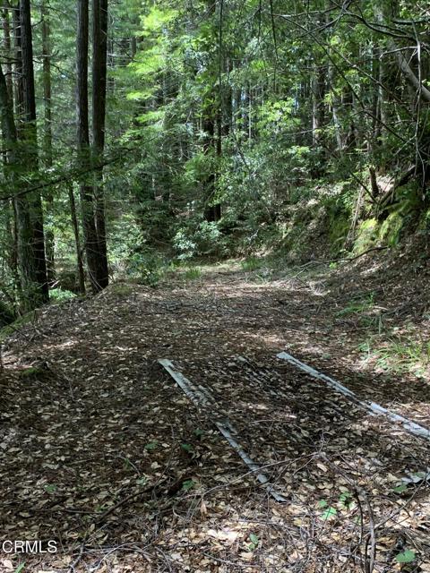 Detail Gallery Image 19 of 41 For 23501 Branscomb Rd, Westport,  CA 95488 - – Beds | – Baths