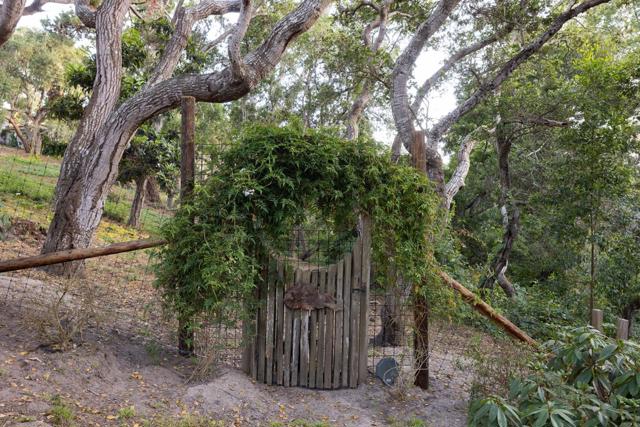 25524 Hatton Road, Carmel CA: https://media.crmls.org/mediaz/b5b4743c-03ab-43a6-9241-5477d1dea3ff.jpg