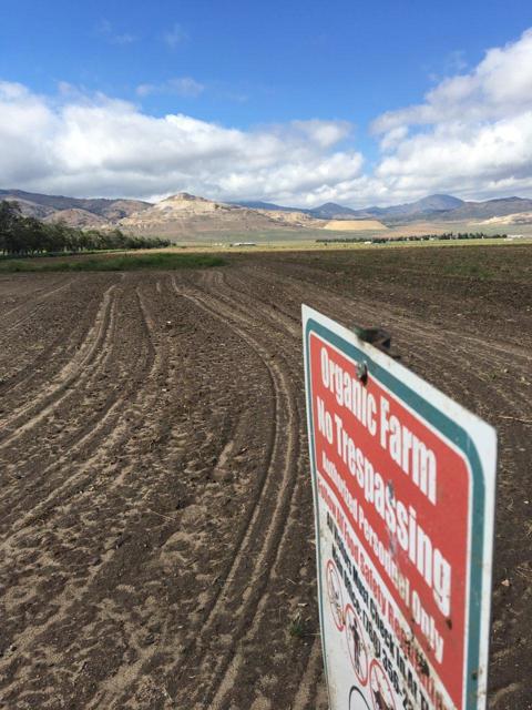 20028 Tehachapi Willow Springs Road, Tehachapi CA: https://media.crmls.org/mediaz/b5b6688b-8626-45c3-966c-e9569e6c297e.jpg