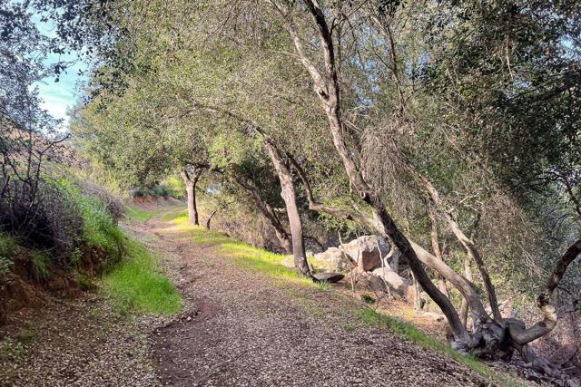 Detail Gallery Image 51 of 74 For 11782 Betsworth Rd, Valley Center,  CA 92082 - 4 Beds | 3 Baths