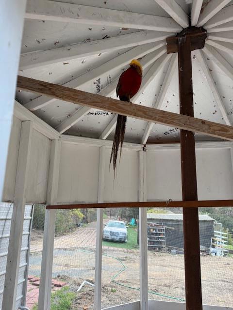 Image 19 of 31 For 18171 Berta Canyon Road