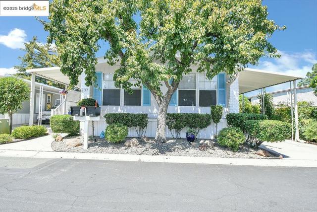 237 Aloha Way, Pittsburg CA: https://media.crmls.org/mediaz/b5c2657d-77ef-4026-b388-5b9d858d6d1f.jpg