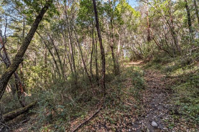 0 Madrone Avenue, Felton CA: https://media.crmls.org/mediaz/b5c388c4-5844-4a1e-a189-bf8a057facaf.jpg