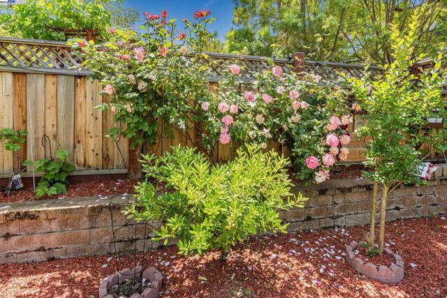 3535 Lessini, Pleasanton CA: https://media.crmls.org/mediaz/b5d1e3d3-8369-4801-995b-4923efb7cbc7.jpg