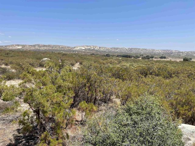 Detail Gallery Image 8 of 10 For 0 Camino Vecinal, –,  – 99999 - – Beds | – Baths