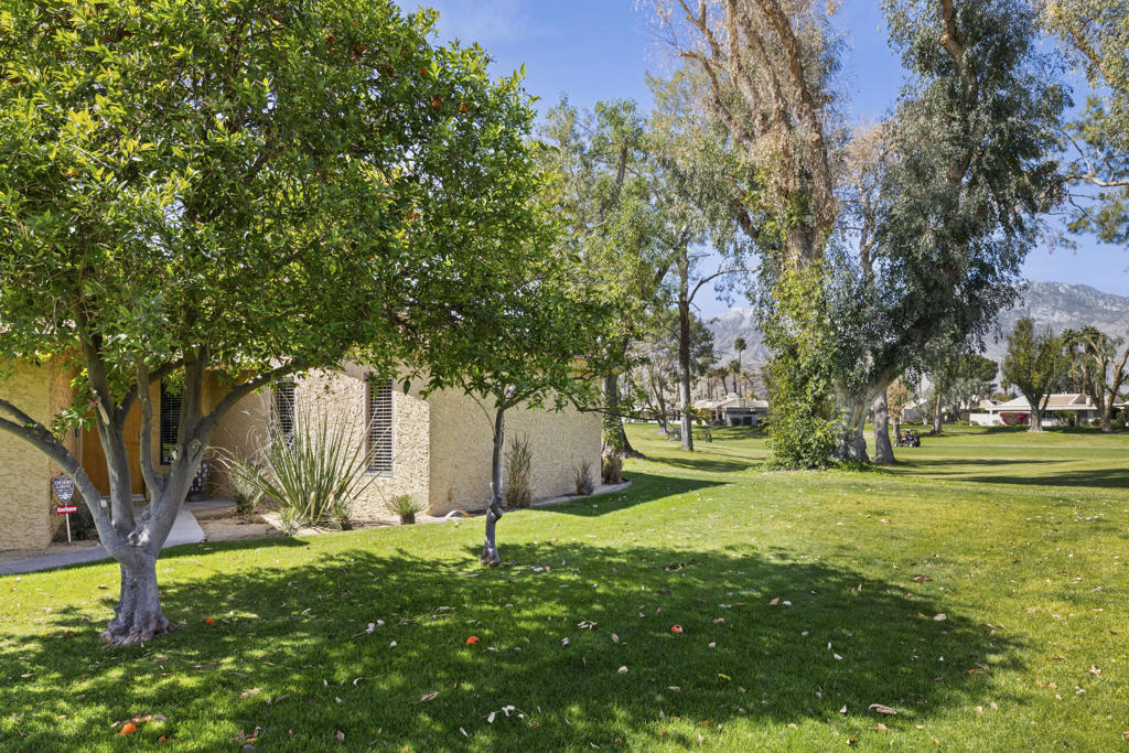 MLS #219125567DA img 5