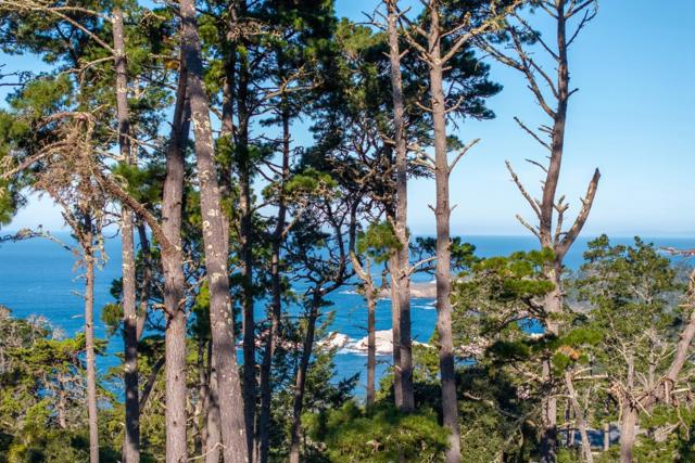 90 Crest Road, Carmel CA: https://media.crmls.org/mediaz/b6112de8-e8d8-4ff7-af80-43a3f595d877.jpg