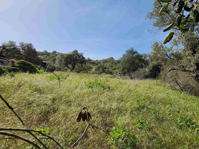 4800 blk 5th Street, Fallbrook CA: https://media.crmls.org/mediaz/b6129e9c-56e5-4e67-849e-776a7eecf22a.jpg