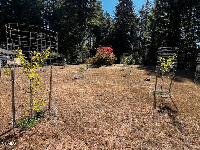 38881 Comptche Ukiah Road, Mendocino, California 95460, 3 Bedrooms Bedrooms, ,2 BathroomsBathrooms,Residential,For Sale,38881 Comptche Ukiah Road,CRC1-10770