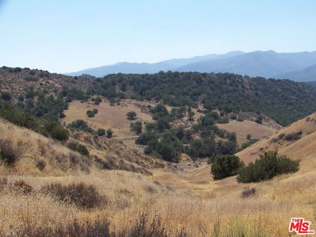 0 Apn 147-080-005, New Cuyama CA: https://media.crmls.org/mediaz/b620e75d-1541-43cd-9224-f9d840c9e8aa.jpg
