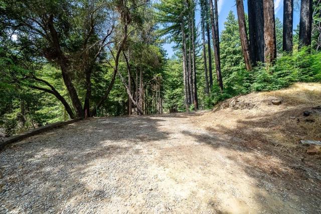 1035 Rambling Road, Boulder Creek CA: https://media.crmls.org/mediaz/b6308ff9-320e-4cac-b021-e499b0fda720.jpg