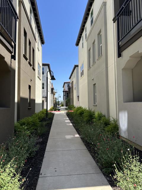 923 Layola Lane, Morgan Hill CA: https://media.crmls.org/mediaz/b6333584-001e-48f3-85a4-d75009da443a.jpg