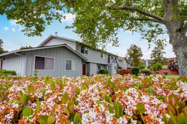 1111 Reed Avenue, Sunnyvale CA: https://media.crmls.org/mediaz/b6393e68-c1b1-4e27-a52f-6dcad1d97587.jpg