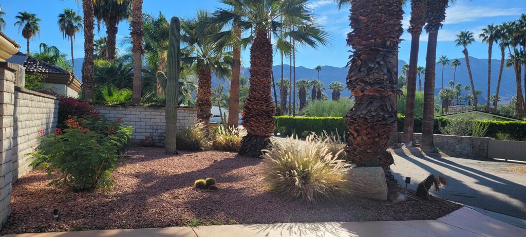 MLS #219139207DA image #8