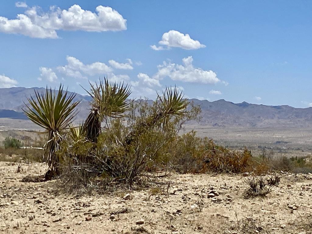 MLS #219134434PS image #24