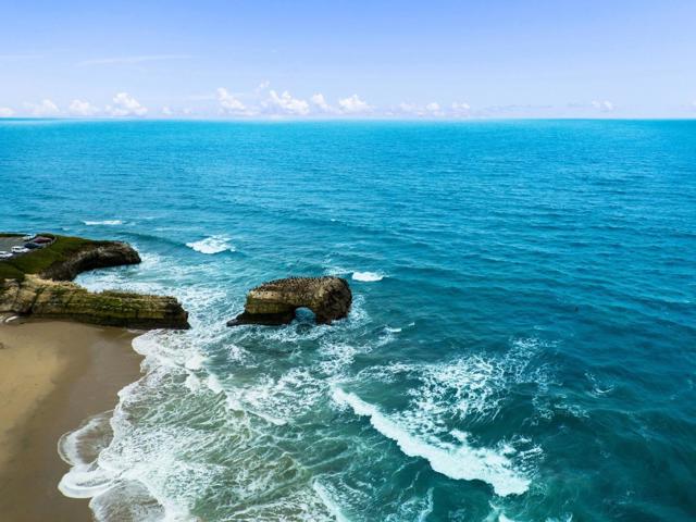 2395 Delaware Avenue, Santa Cruz CA: https://media.crmls.org/mediaz/b6491354-dfa7-4a04-a1a0-696ea99a8e98.jpg